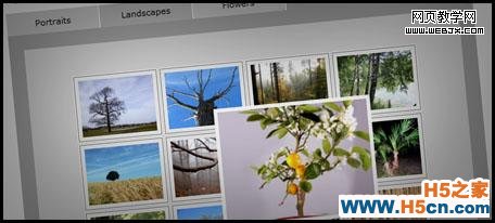 Cross Browser Multi-Page Photograph Gallery